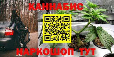 стаф Изобильный
