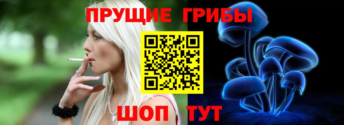 Галлюциногенные грибы Cubensis  Вход с VPN  Усинск 